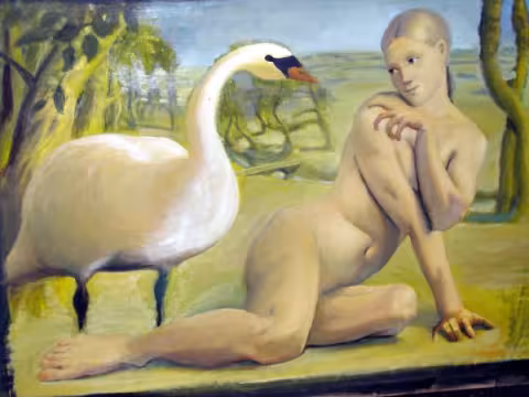 autor Petr Mucha